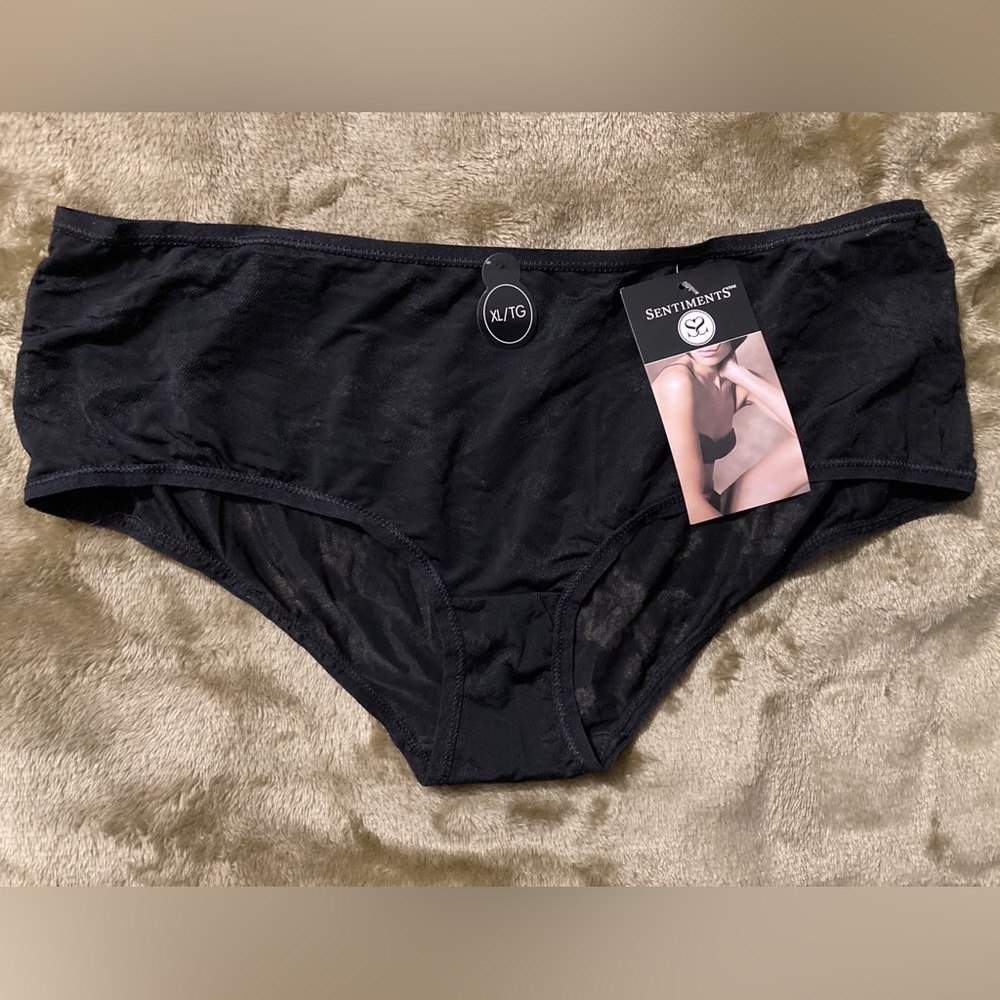 NWT Sentiments Hipster panties
